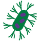 Bacteria Icon